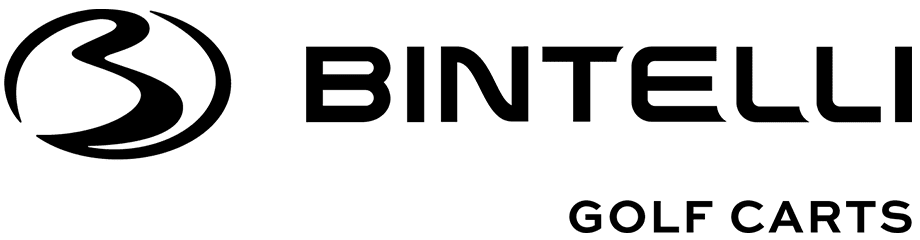 Bintelli Logo